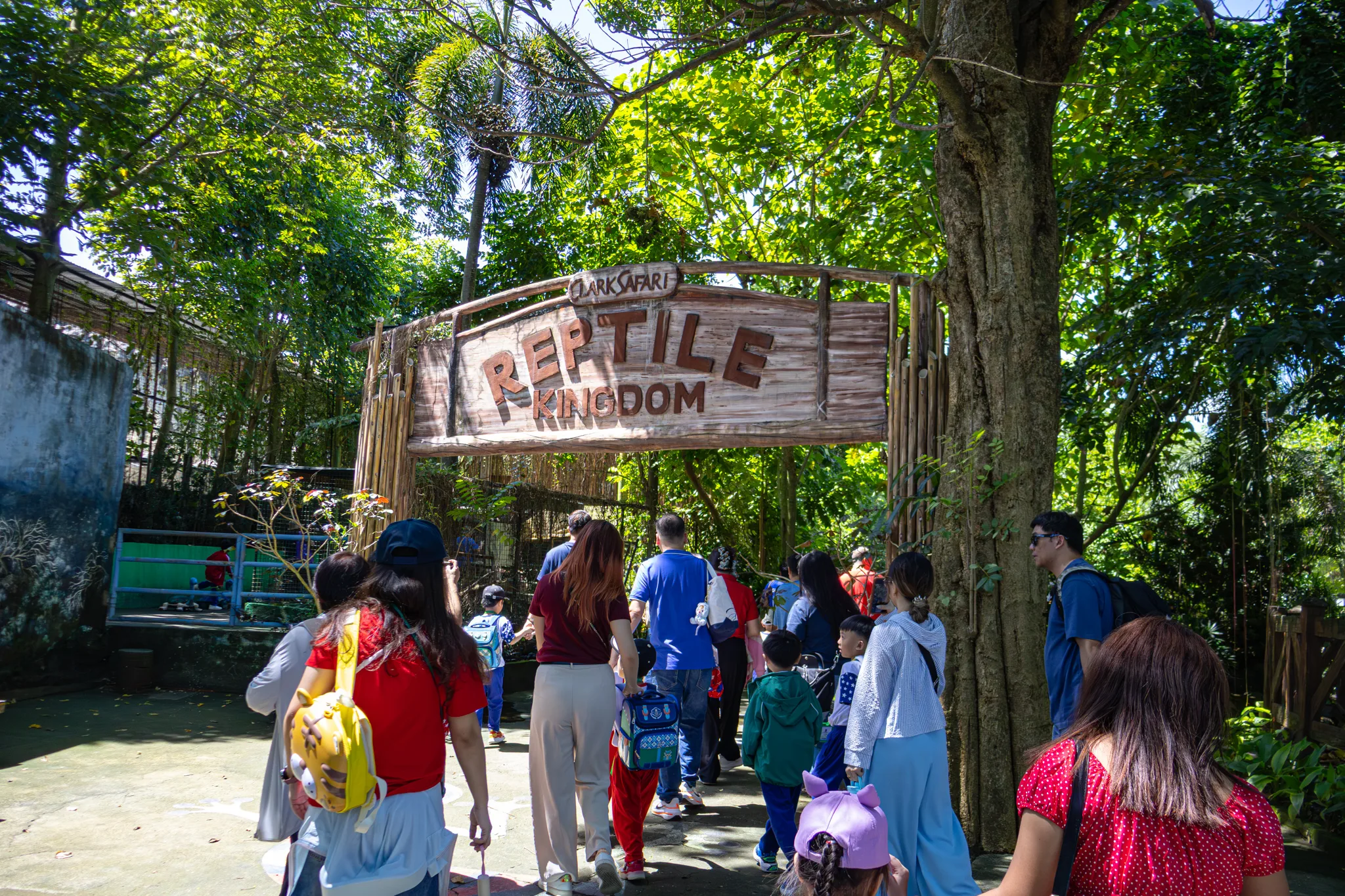 KINDERGARTEN FIELDTRIP additional image 19